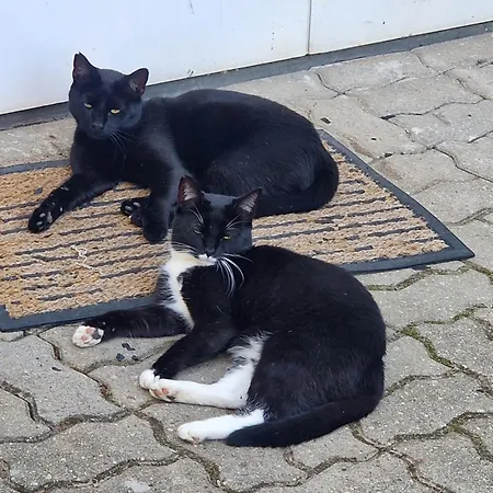 Ubytování v soukromí Markus Grzybowo (West Pomeranian)