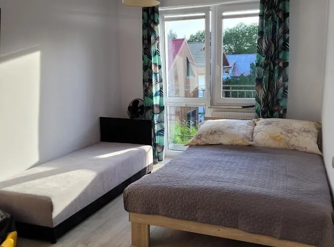 Markus * Grzybowo (West Pomeranian)